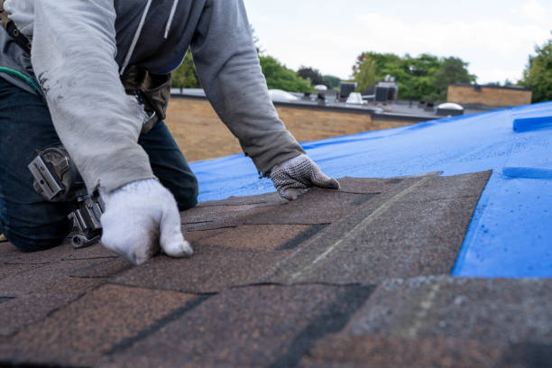 4 Ply Roofing in Mount Gay Shamrock, WV