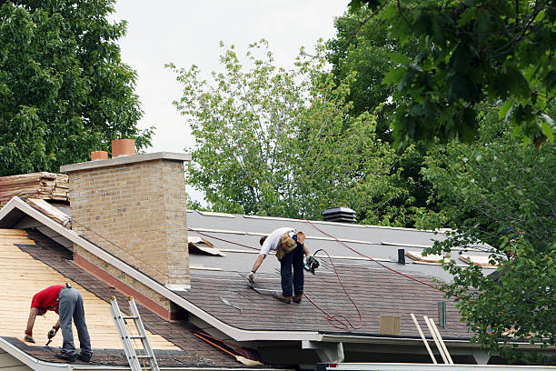 Best Storm Damage Roof Repair  in Mount Gay Shamrock, WV